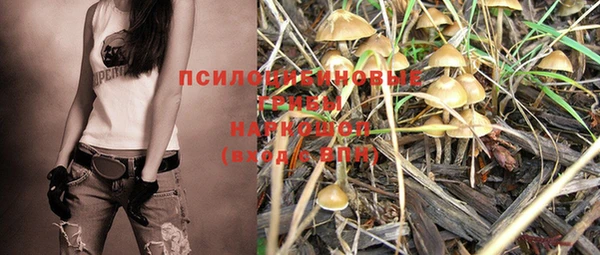 MDMA Premium VHQ Карталы