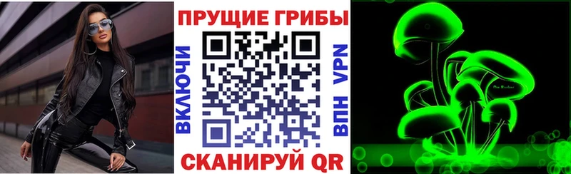 Купить где  Уварово  Псилоцибиновые грибы Psilocybe 